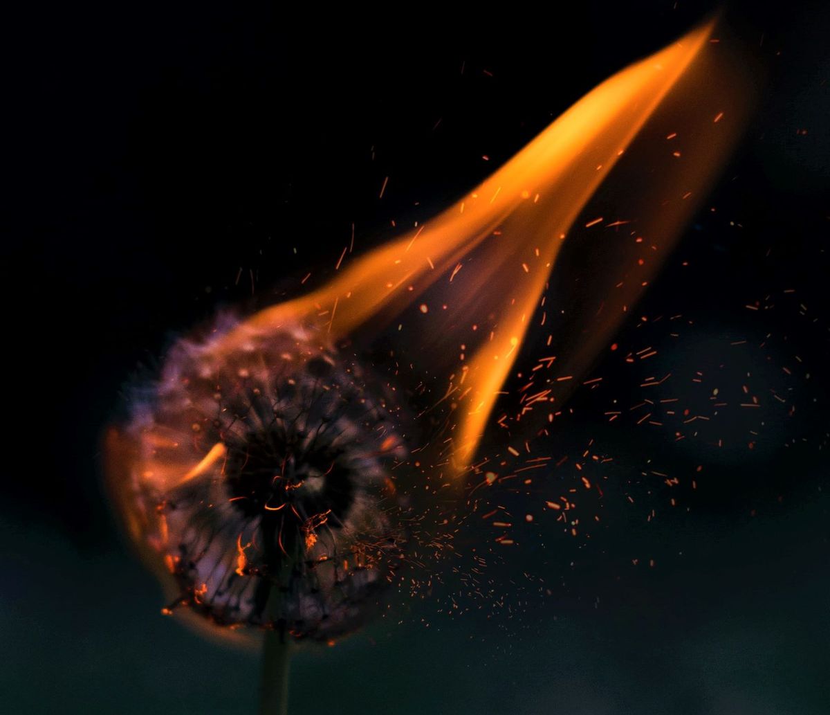 AXA survey shows cyber risk a top concern for the first time -- as insurers, tech get creative