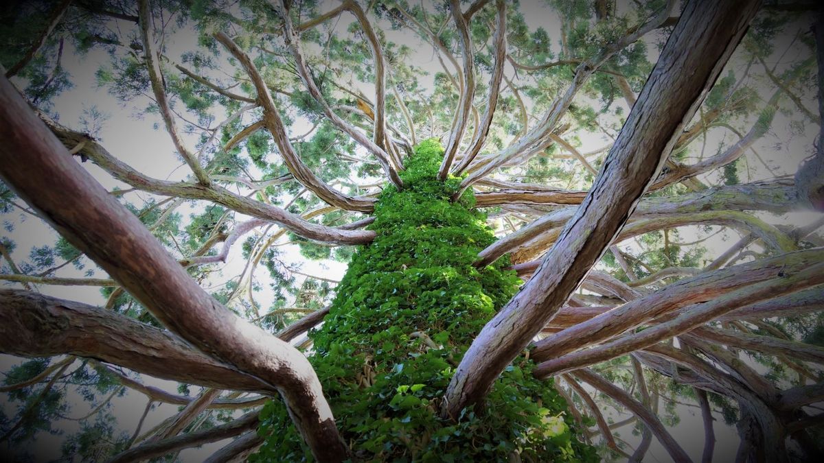 Messaging Layer Security is coming of age in good news for privacy lovers