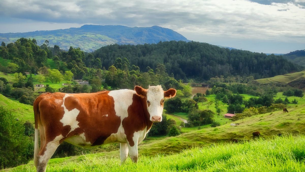 DCMS launches £12m Digital Growth Grant; wants less London-centricity