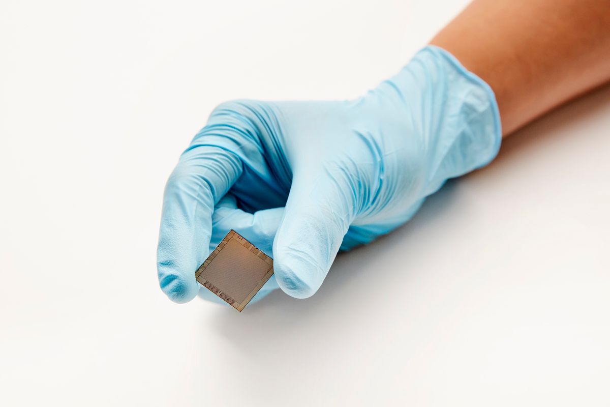 Google poaches chip guru from IBM to lead its "next-gen" CPU