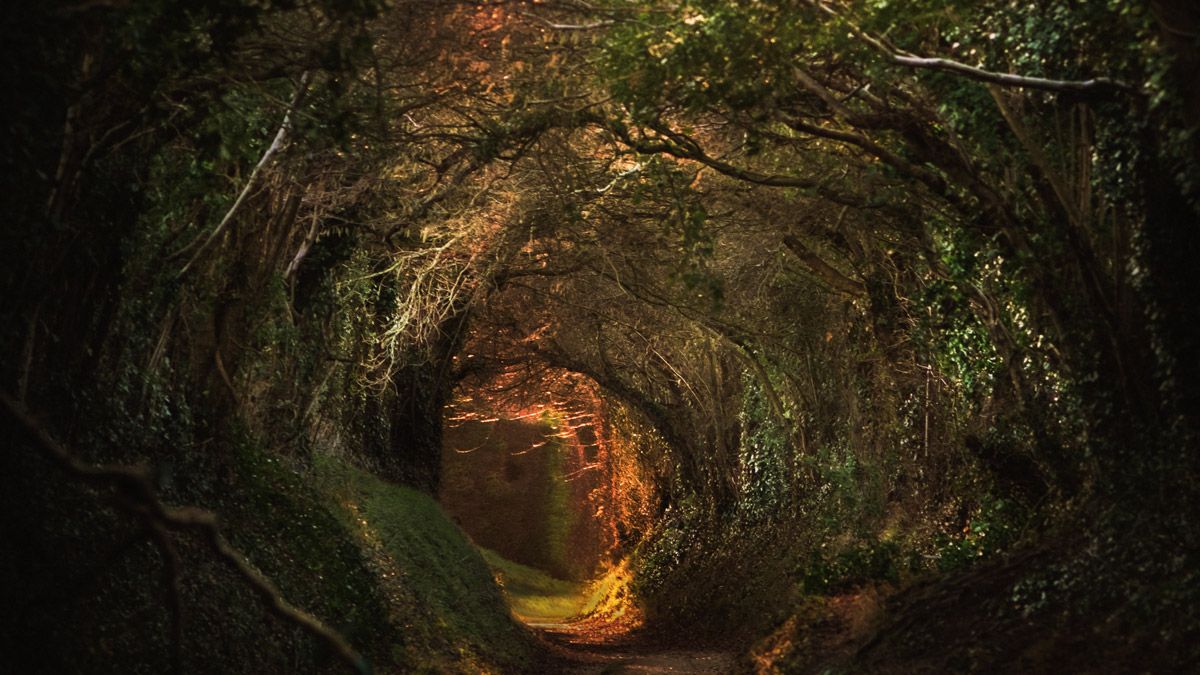 Linux Foundation launches open source telco project