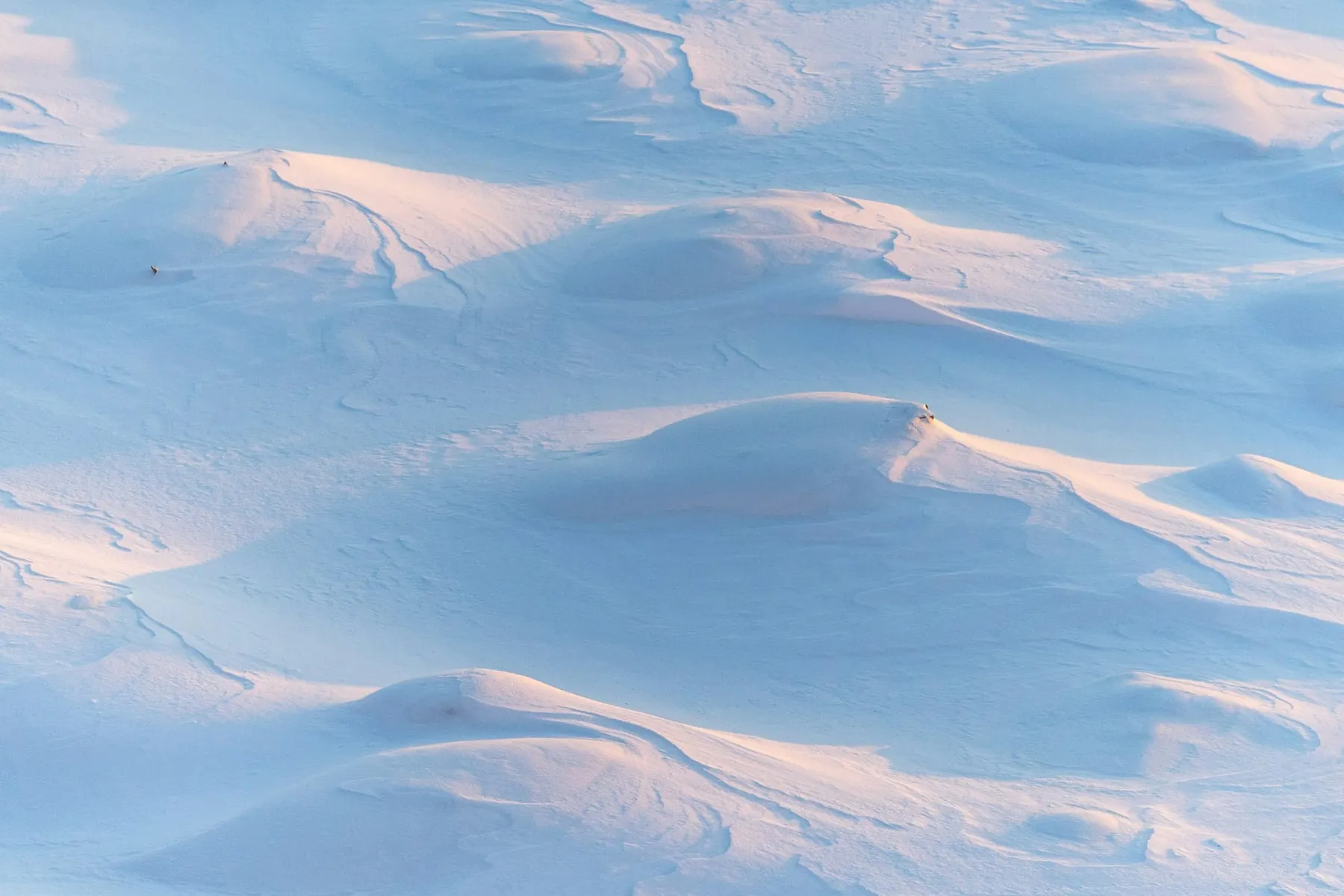 CISA issues warning over 'Midnight Blizzard' Microsoft attack