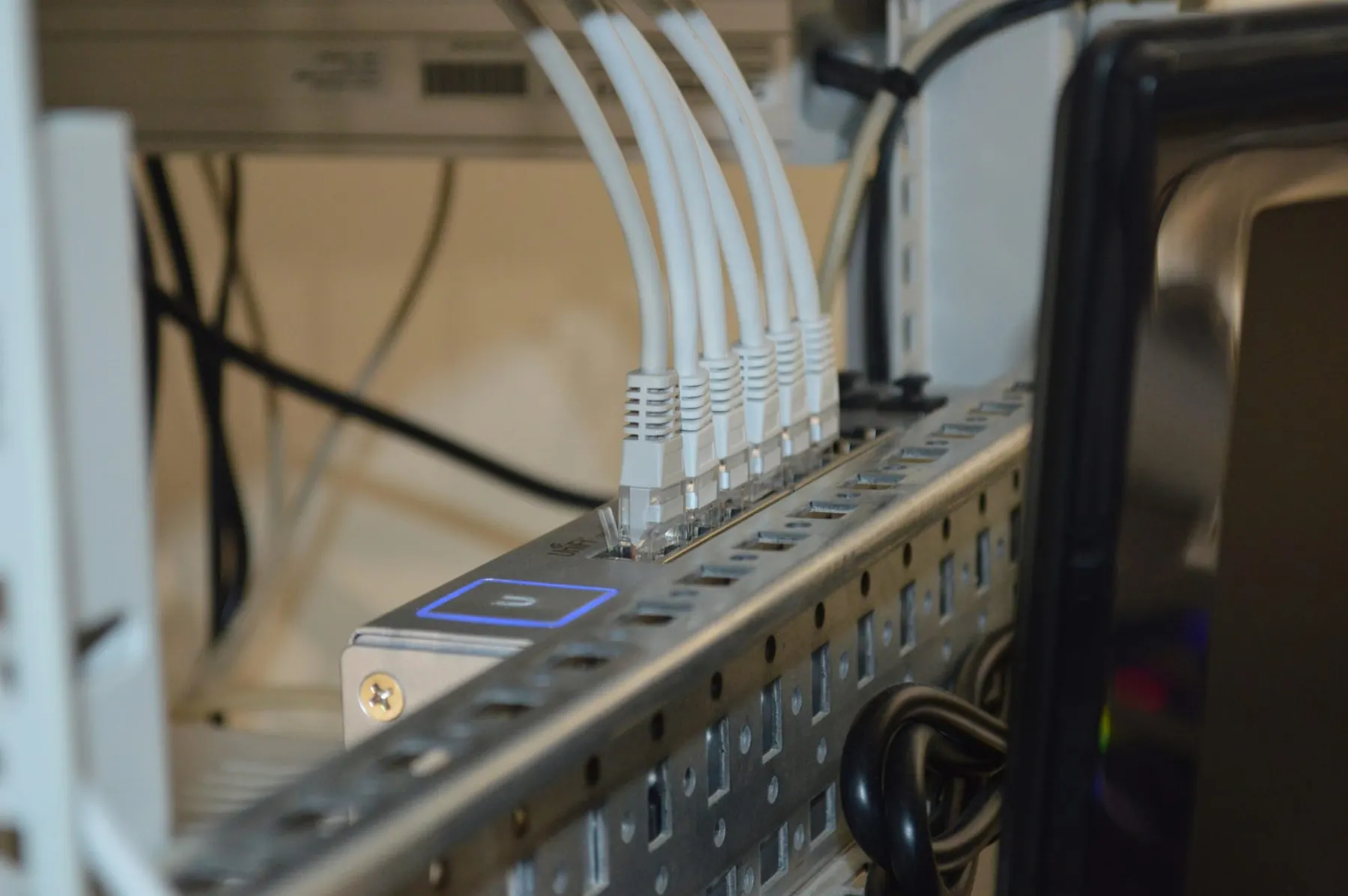 Net neutrality back on the cards for FCC
