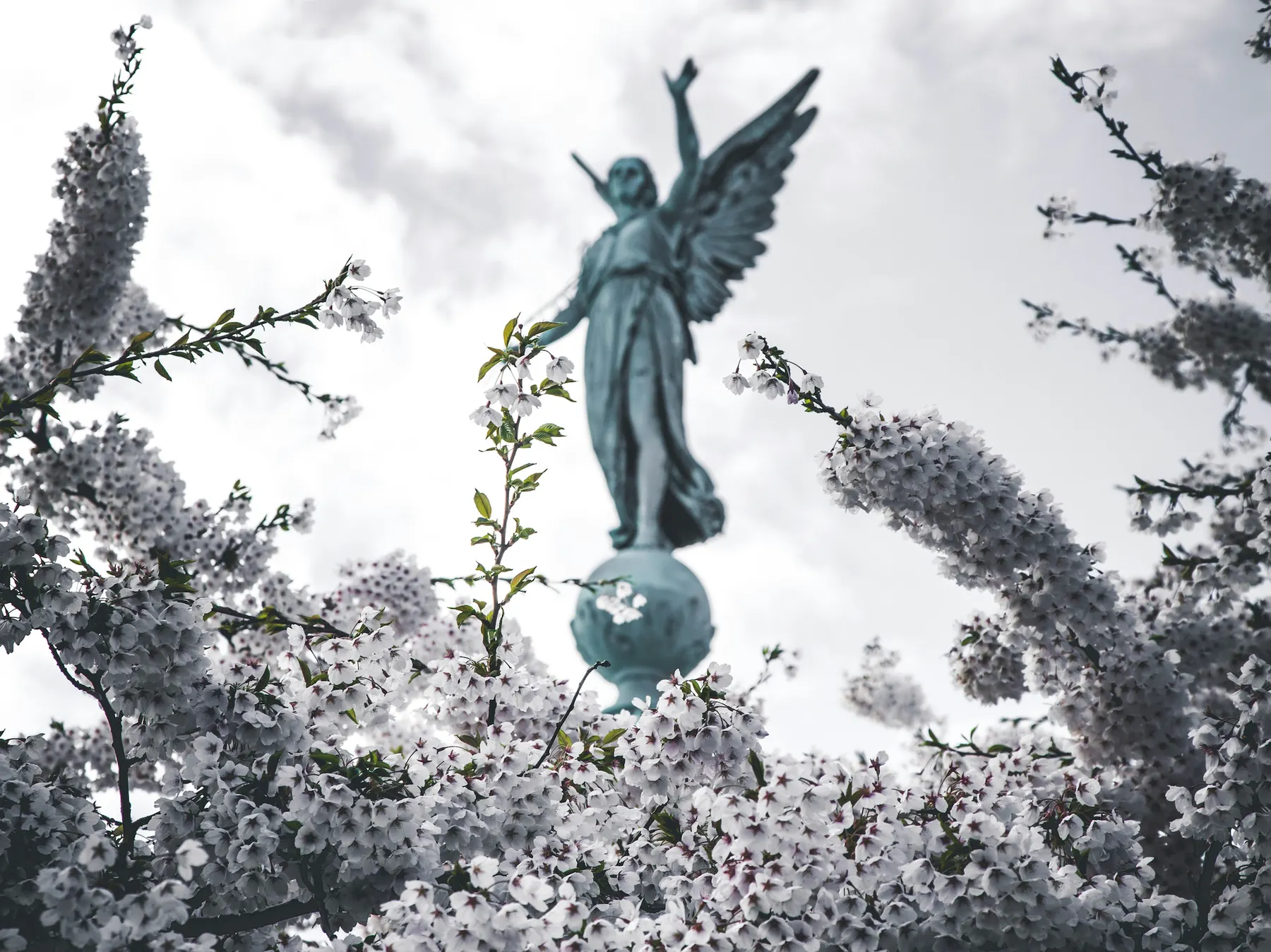 Dark Angels is known to use a RagnarLocker ransomware variant (Image: Kasper Rasmussen, Unsplash)