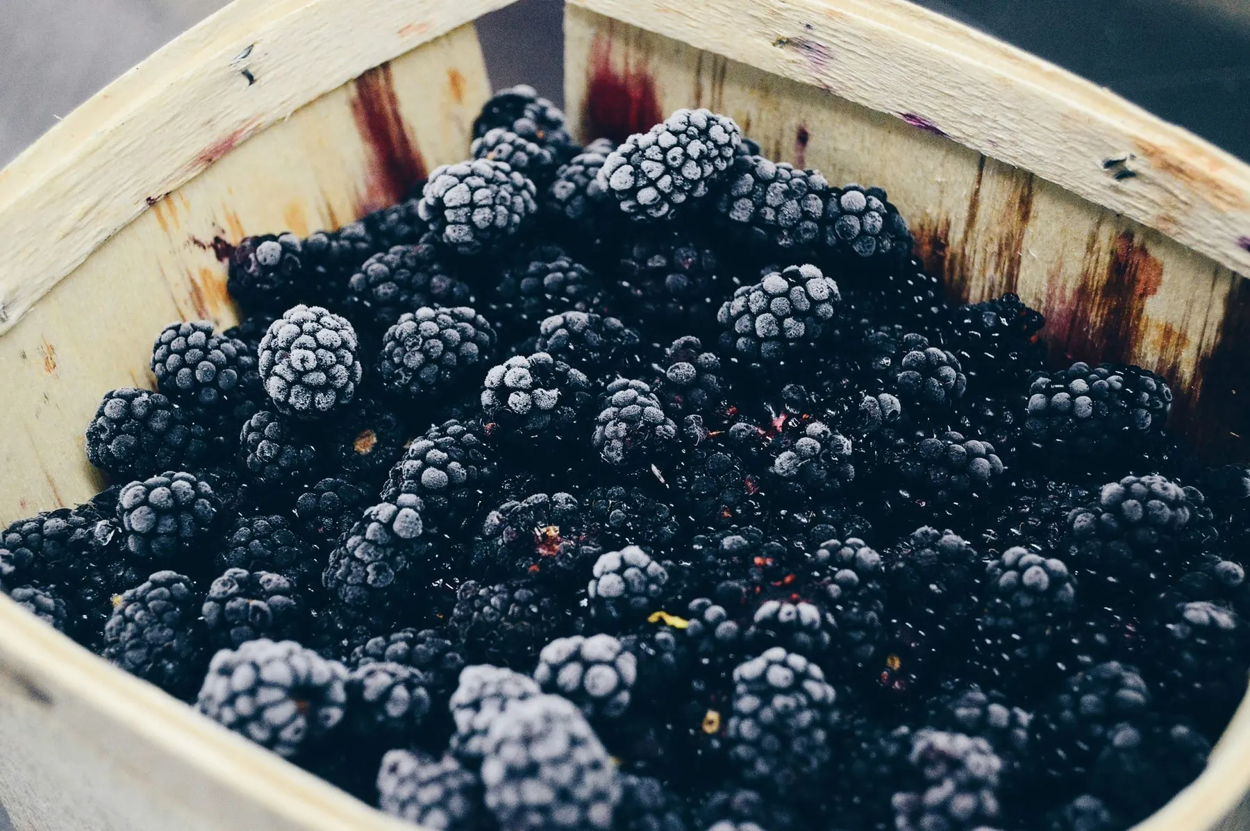 Blackberry hints at secret work with CIA as world war "breaks out" (Photo: Nick Sarro on Unsplash)