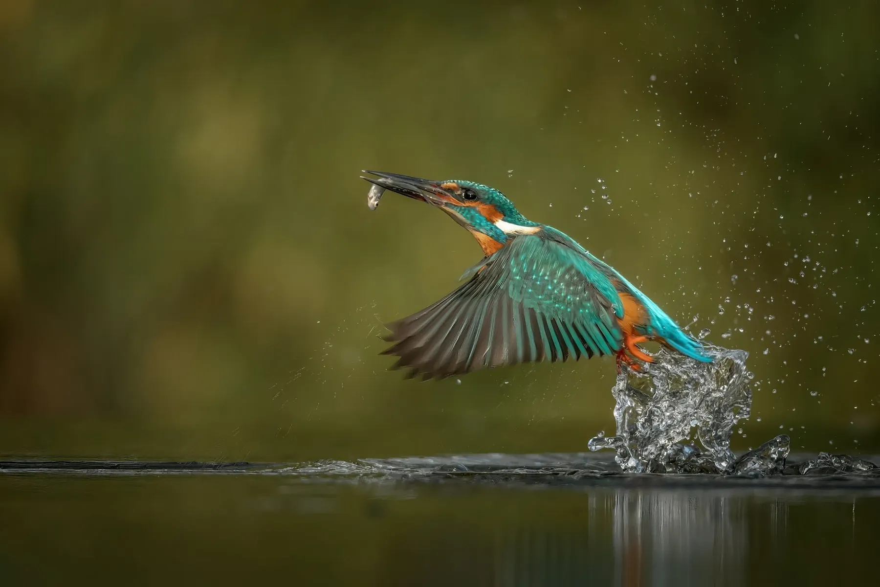 MongoDB open-sources “Kingfisher” secrets scanner