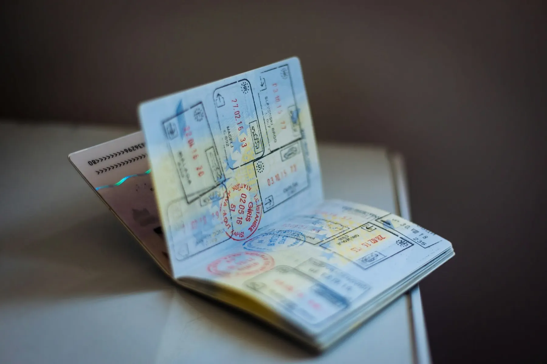 UK visas a biased mess, Home Office oversight a black hole, find MPs