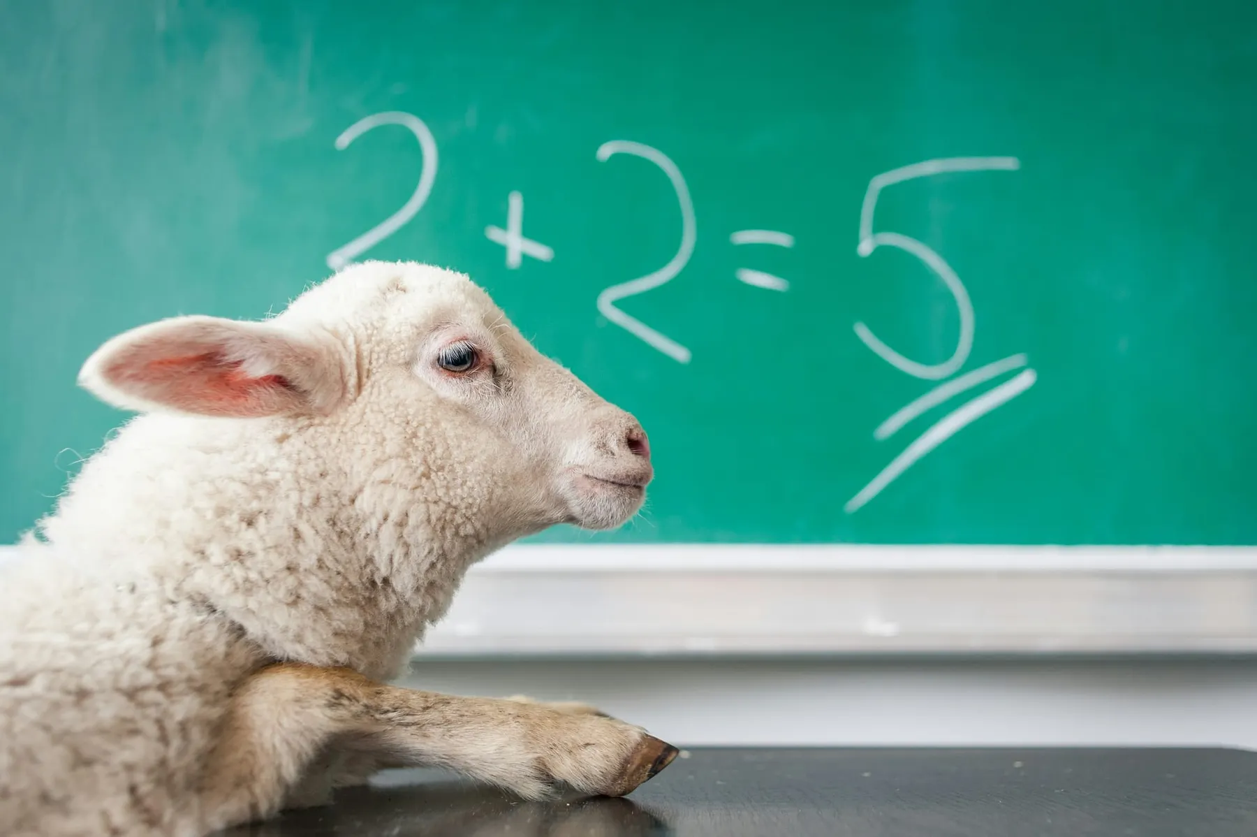 Don't stoke the LLM's ego, mind the slopsquatters: OpenSSF guides on secure vibe coding