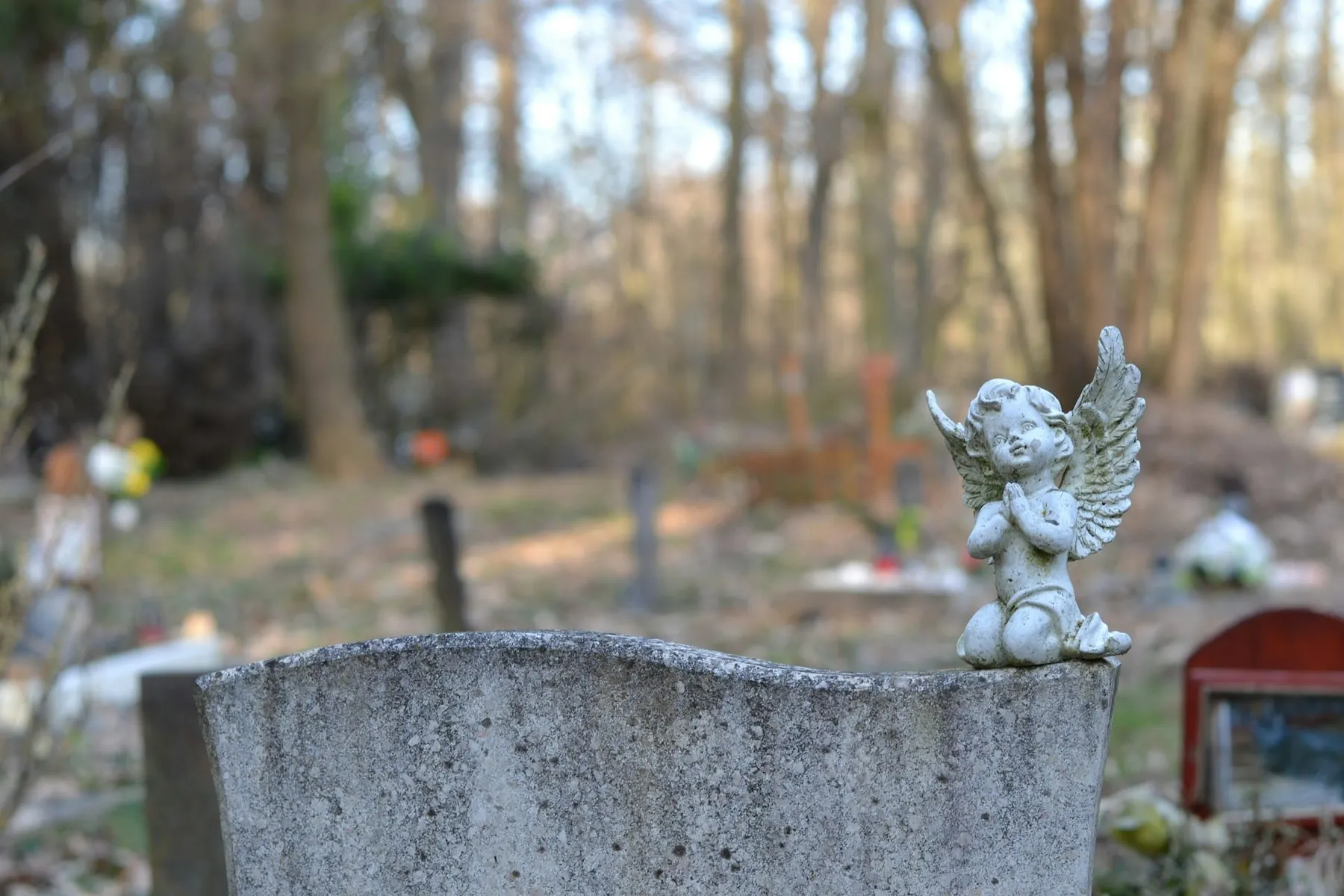 CodeCatalyst, CodeCommit, Cloud9: AWS keeps killing developer tools. Now it’s bringing one back to GA. Is it too late?