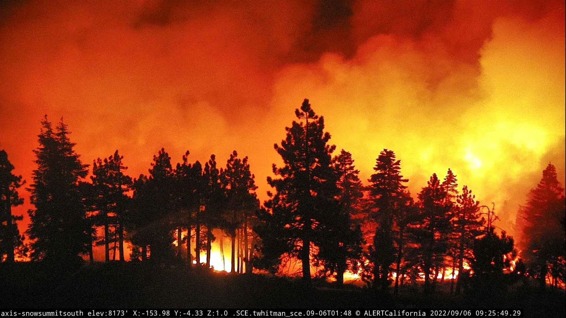 Digital twins and natural disasters: The AI tech giving emergency response a boost