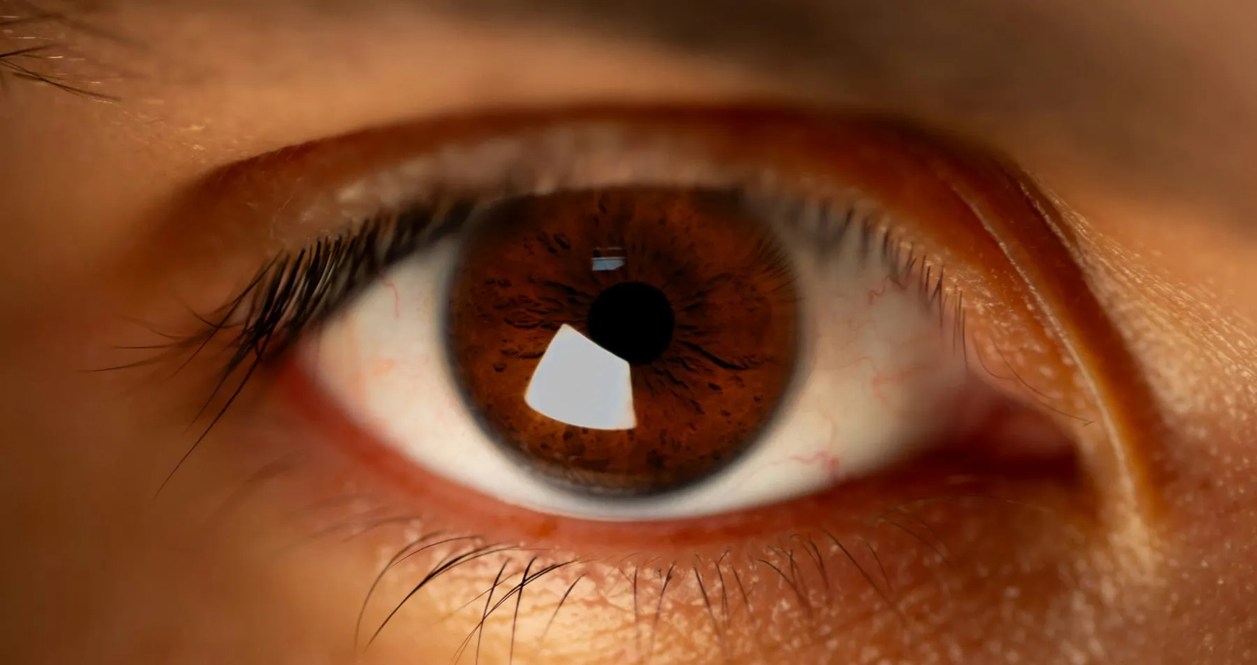 A close up photo of a person's eye. The Home Office is planning a refresh of its biometric platform.