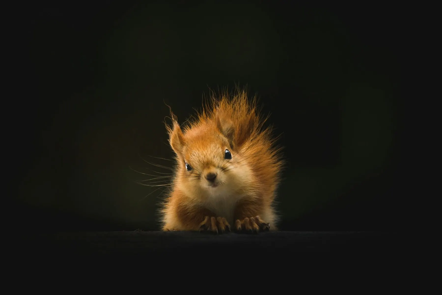 Runtime: The PHP noise and signal. The Stack Summit: A Chatham House rule sanity check