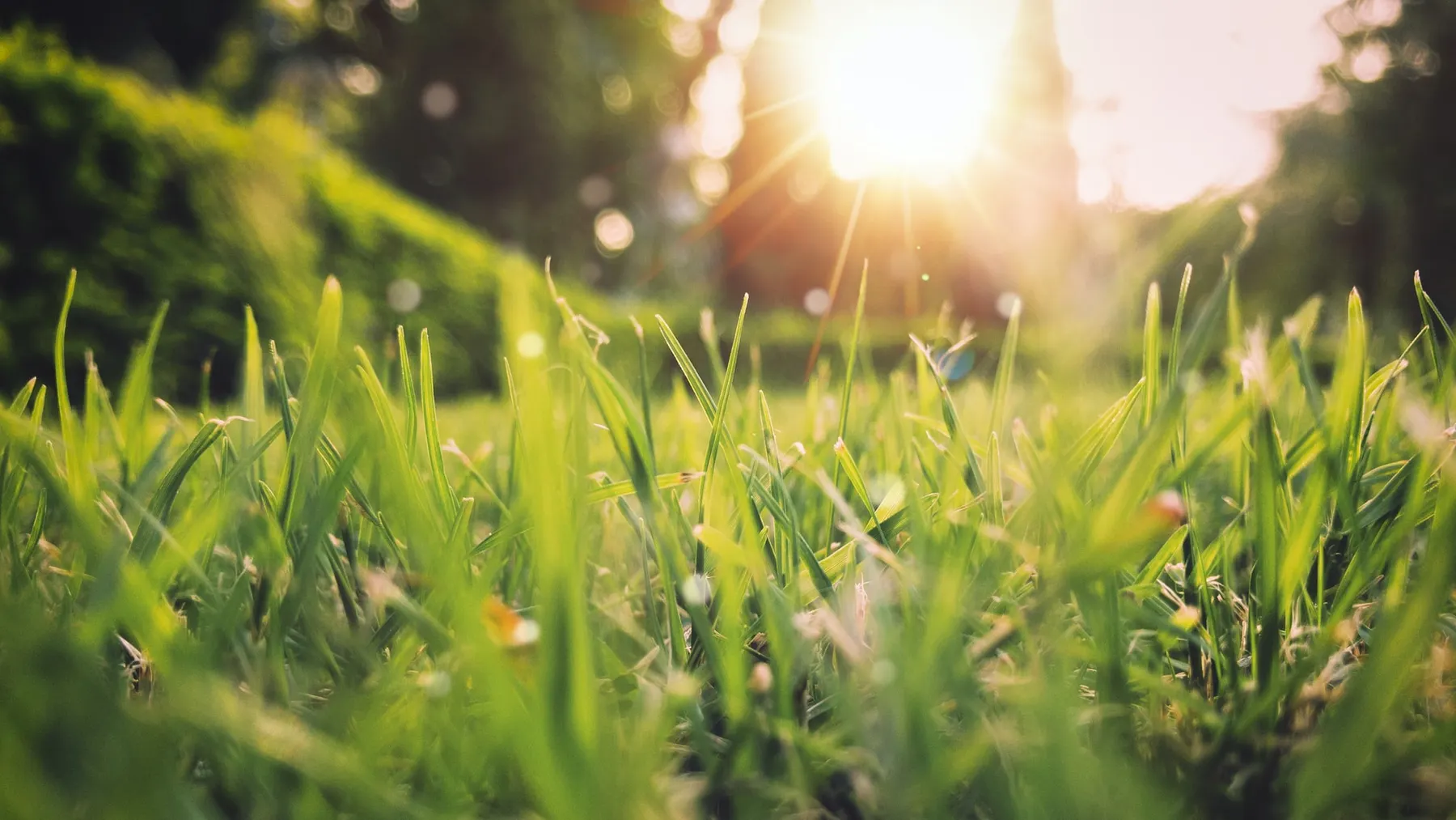 One to watch #2: Carbon management startup Persefoni.
