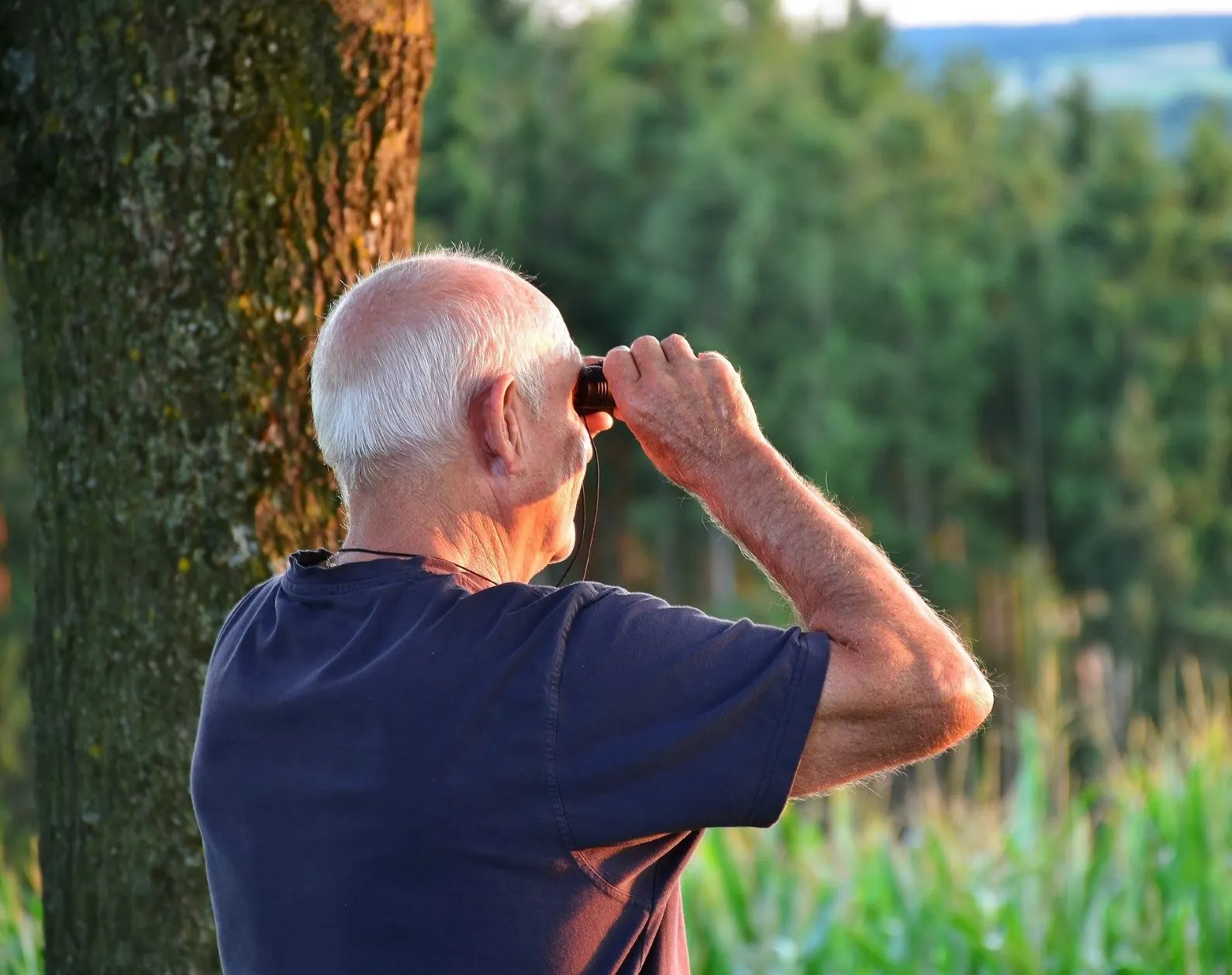 From Open Banking, to Open Pensions?