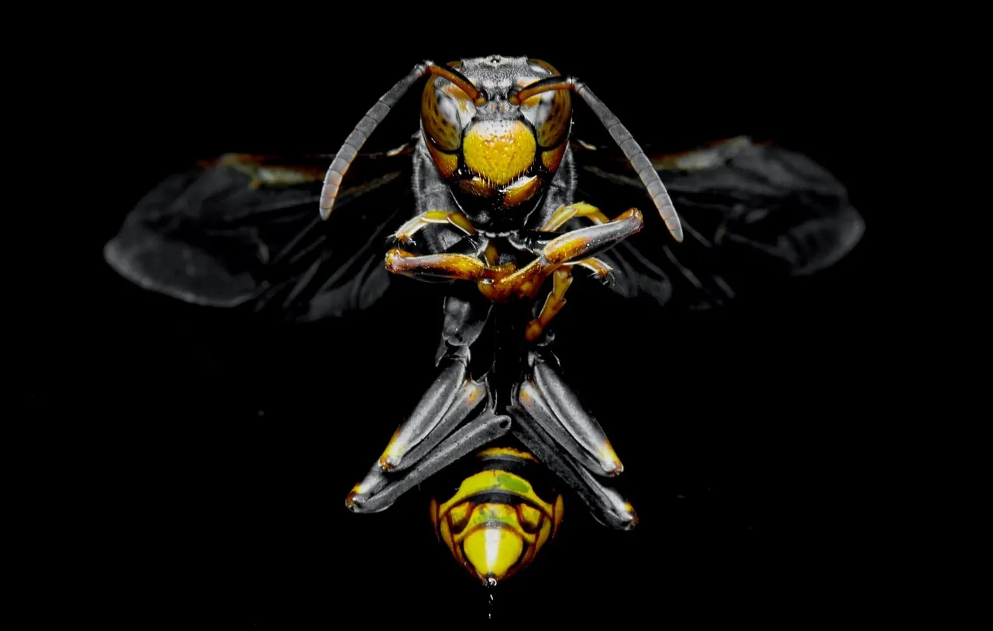 The new OWASP Top 10: What CISOs should know about the updates