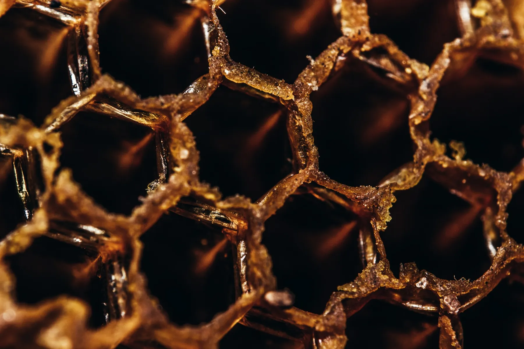 Cloud Postgres honeypots breached within seconds -- and your IP filter is unlikely to save you