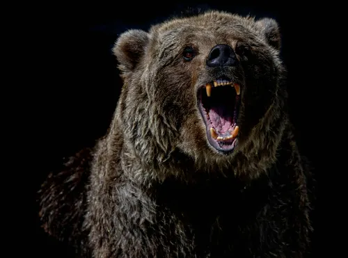 Cozy Bear takes a German holiday for political attacks