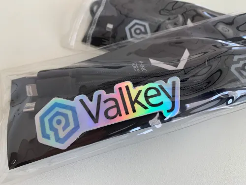 China tech giants pile into Valkey to help boost performance
