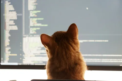 JetBrains open-sources coding model “trained from scratch”