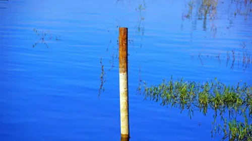 A water level stick showing levels are low in a body of water. The EU may require data centres to improve water efficiency as it addresses Europe's water scarcity