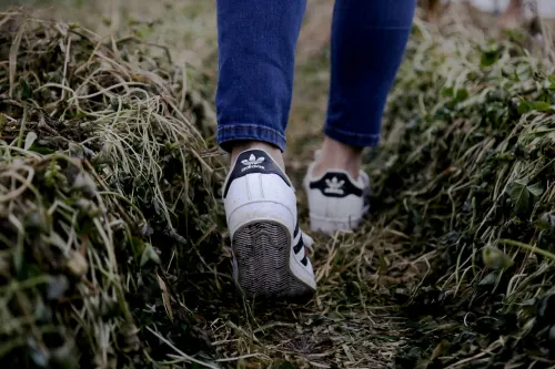 A person walks through a field. The UK government is continuing its AI action plan without author Matt Clifford