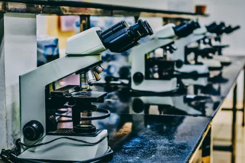 A bank of microscopes sit on a lab desk. Wiz turned to a small language model to optimise its secret scanning services.