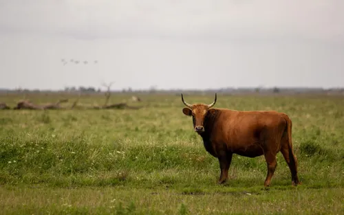 Re-nationalised Bull wins $450m EU supercomputing contract