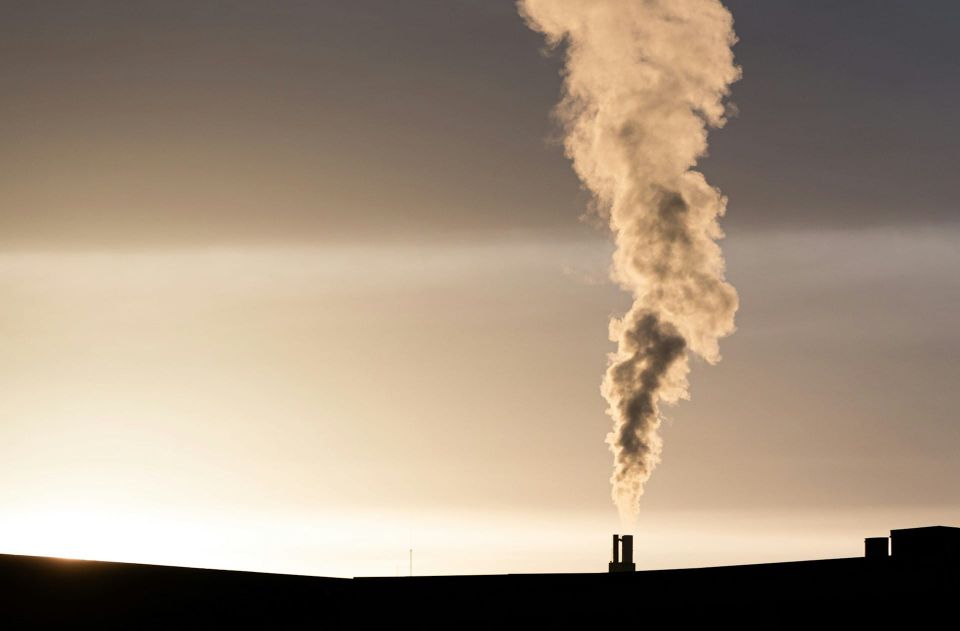 Sustainability software sales to top $1 billion in 2024: Deloitte