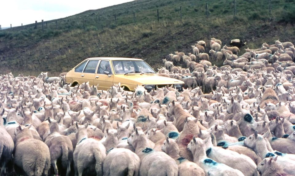 Turf wars? NIST to fix NVD backlog by September – insists it’s right agency to run vulnerability database