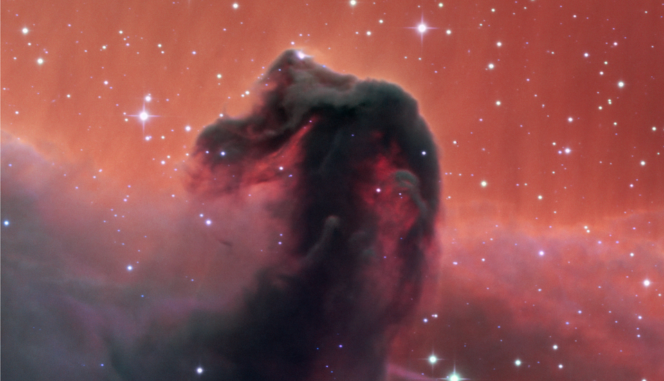 A view of the Horsehead Nebula (Image: Nasa)