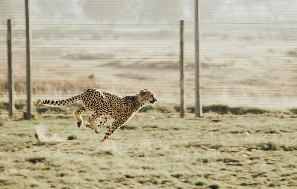 UK told to stop chasing big AI players, focus on sustainable tech and skills