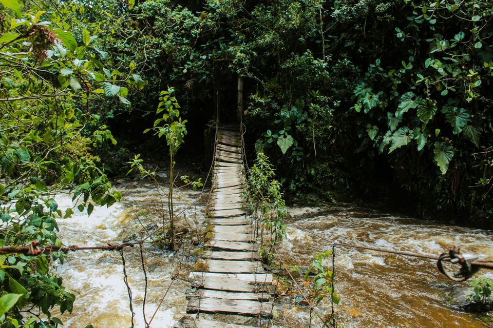 A rickety wooden bridge across a stream. Open source foundations say the foundation of modern software could give way without change.