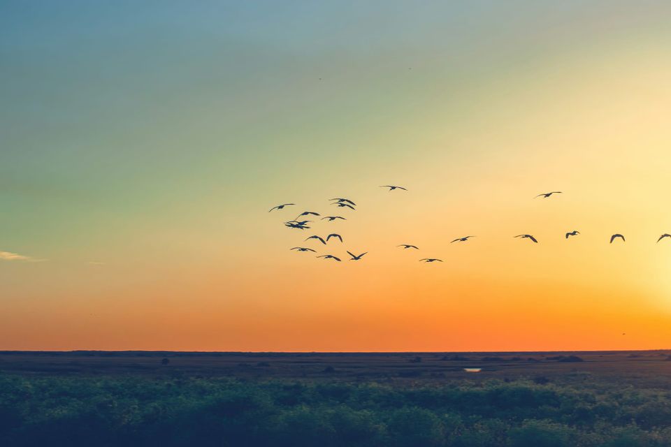 STACKUP: The Stack's weekly tech startups and funding wrap