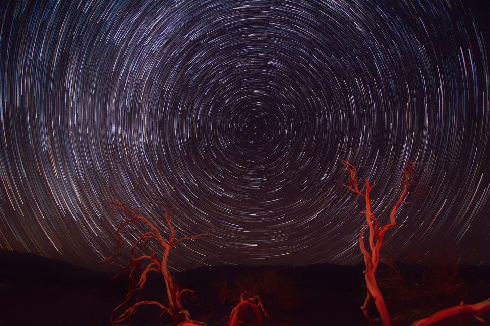 AWS researchers tackle multi-agent errors