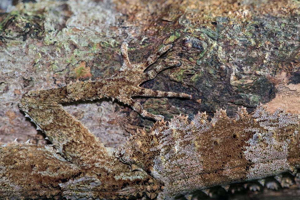 Exclusive: F5 attackers target deep VMware persistence with novel malware