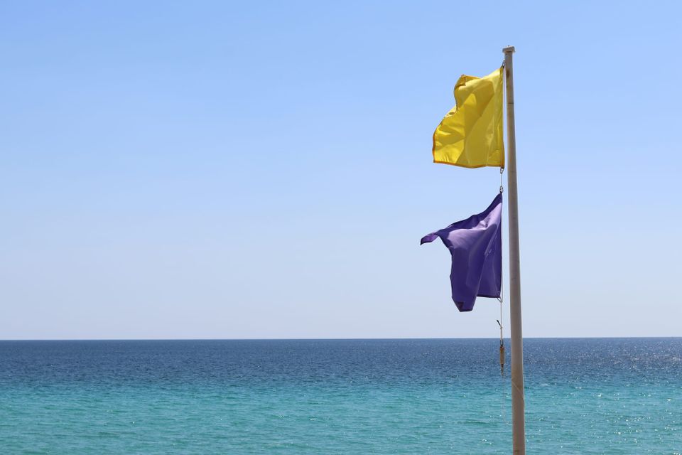 Python Foundation "raising the flag" on dwindling funds