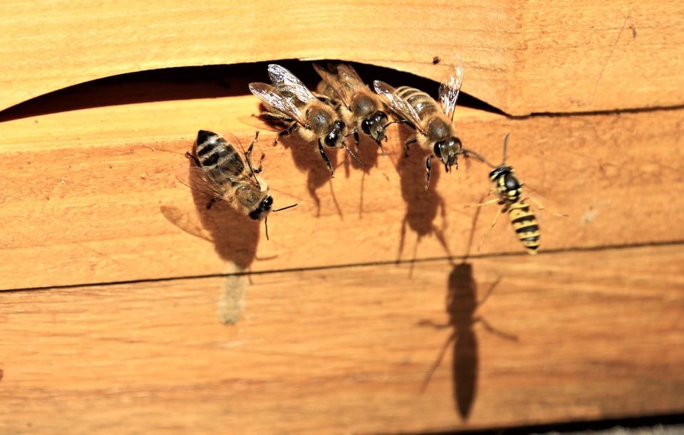 Multiple 0days in Microsoft Exchange Server being exploited in wild.