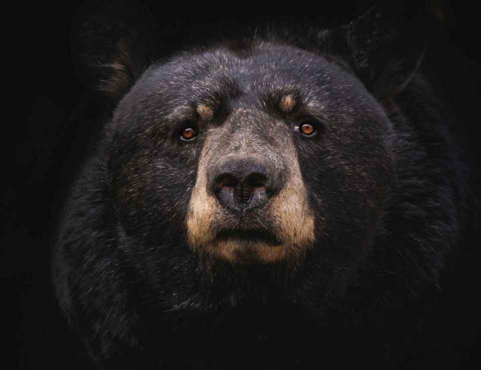 The SolarWinds hackers are back -- now they're targeting resellers, cloud providers, and MSPs