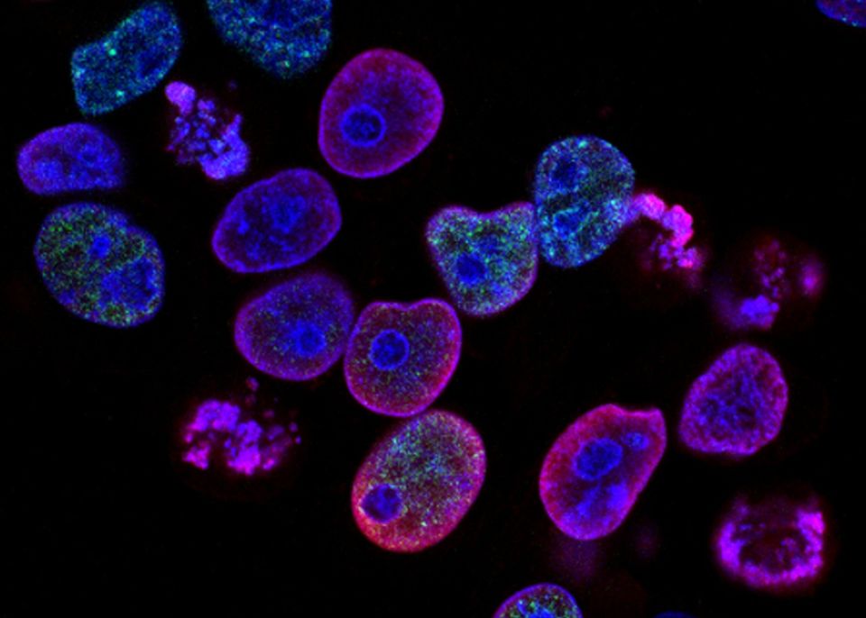 AI and drug discovery: "This is the start of things..."