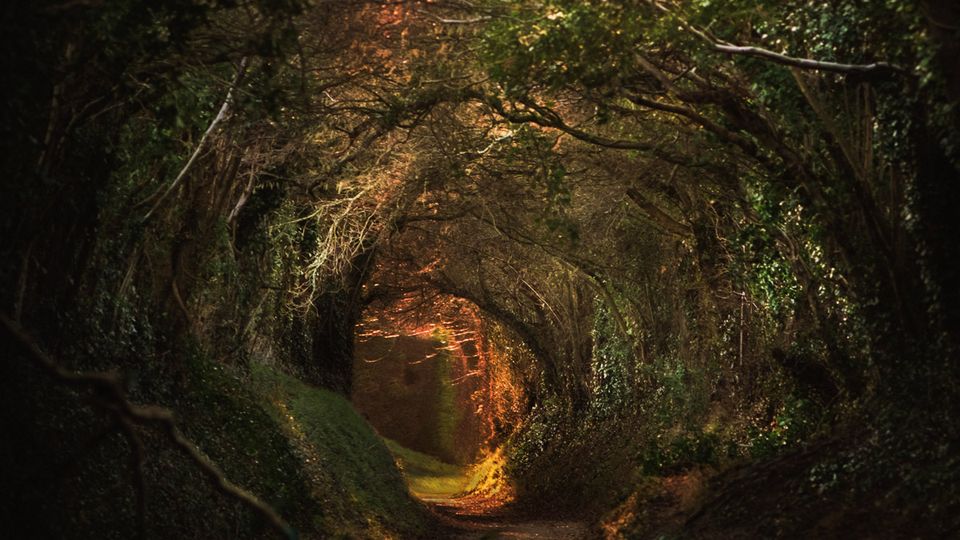 Linux Foundation launches open source telco project