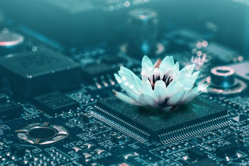 ¡OLÈ! Microsoft patches pre-auth RCE, zero day, warns on BlackLotus bootkit