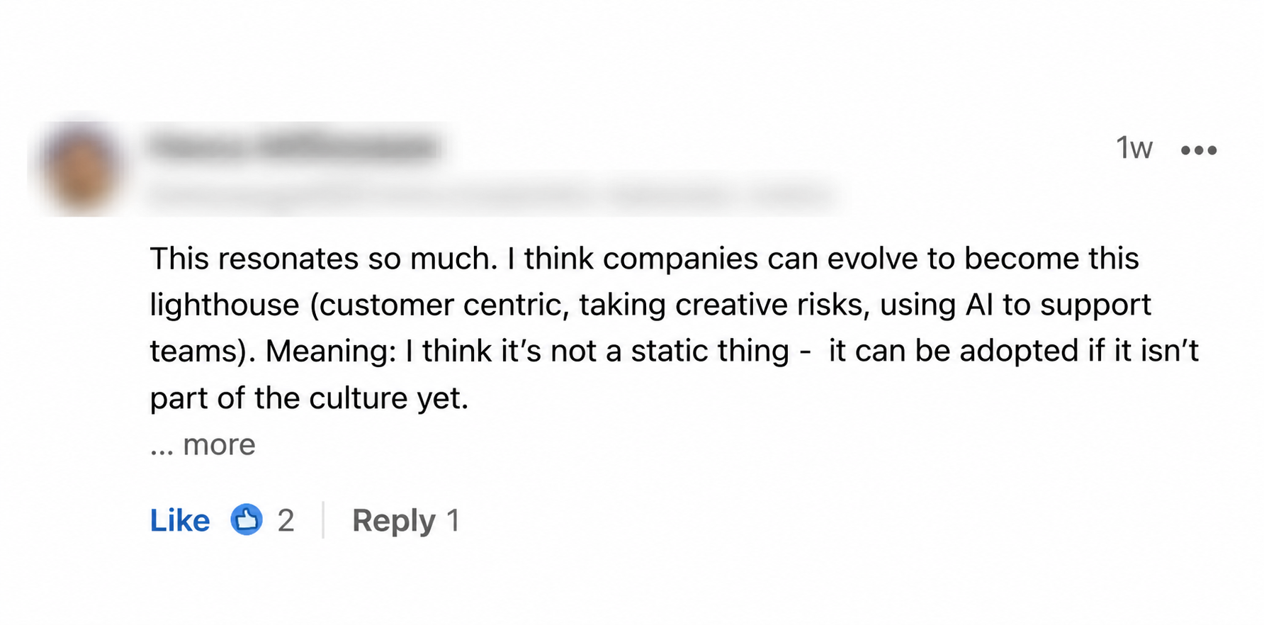 An anonymized LinkedIn comment explaining that companies can deliberately become lighthouse teams by supporting people, staying customer-centric, and taking creative risks.