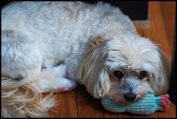 Jonah and his stuffed toy