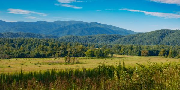 Our August trip to the Smokies