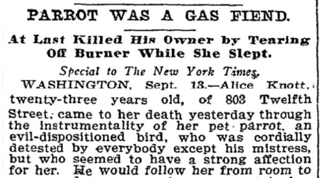 PARROT WAS A GAS FIEND. At Last Killed His Owner by Tearing Off Burner While She Slept. Special to The New York Times. WASHINGTON, Sept. 13 .- Alice Knott, twenty-three years old, of 803 Twelfth Street, came to her death yesterday through the instrumentality of her pet parrot, an evil-dispositioned bird, who was cordially detested by everybody except his mistress, but who seemed to have a strong affection for her. He would follow her from room to