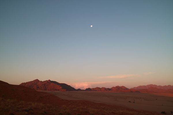 아프리카에서 쓴 편지