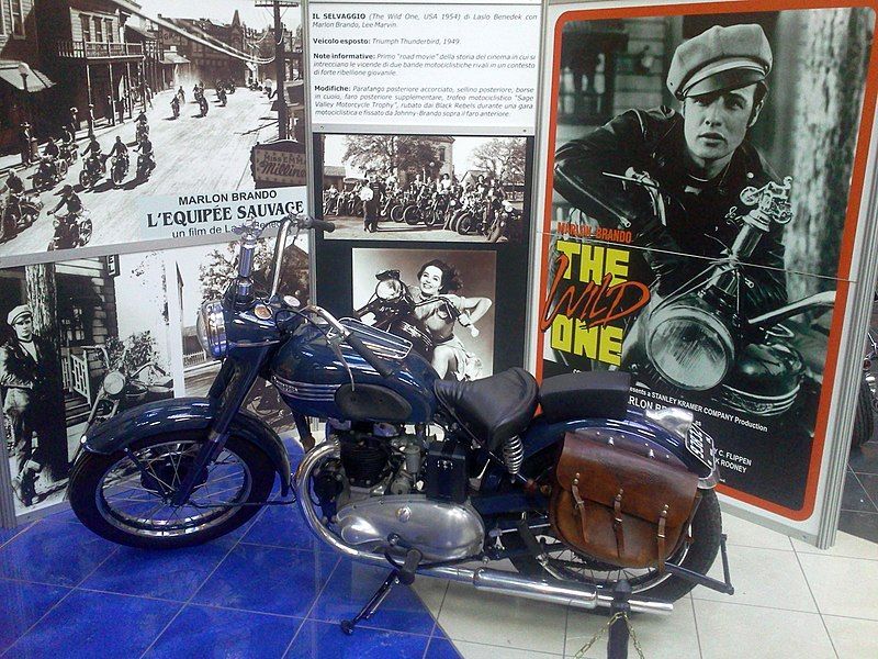 The Primitive Marauder is the Modern State, Evolved