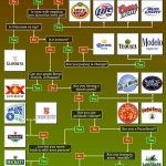 What-Should-I-Drink-Beer