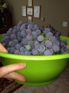Grapes