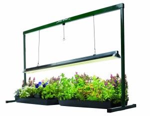 grow light